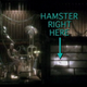 Image for article titled True Stories of Animal Actors in Science Fiction and Fantasy Movies